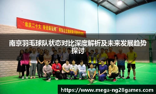 南京羽毛球队状态对比深度解析及未来发展趋势探讨